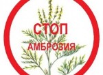 Пам'ятка