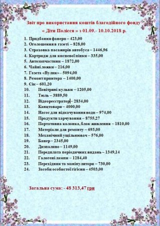 Звіт про використання коштів благодійного фонду  « Діти Полісся » з 01.09.- 10.10.2018 р.