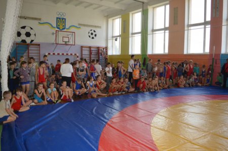 Чемпіонат Рівненської області з вільної боротьби