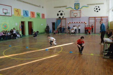Гра «Сокіл» («Джура»)
