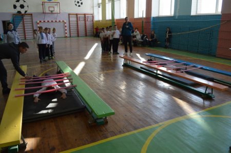 "Сокіл " ("Джура")