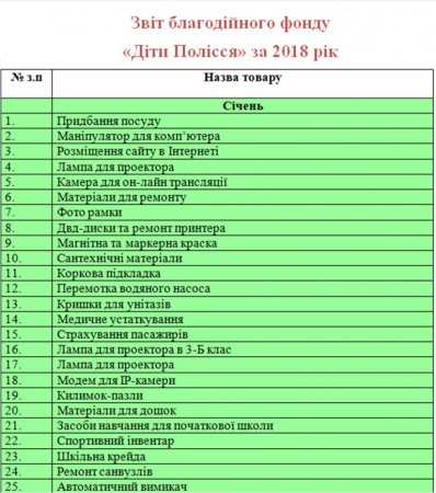 Звіт благодійного фонду "Діти полісся" за 2018 рік