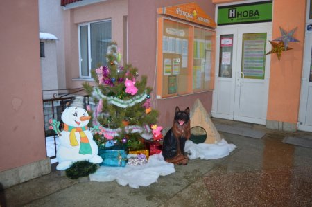 Новорічний колегіум
