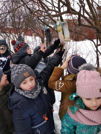 Турбуємося про пернатих друзів