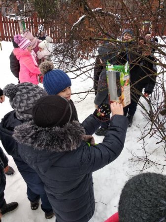 Турбуємося про пернатих друзів