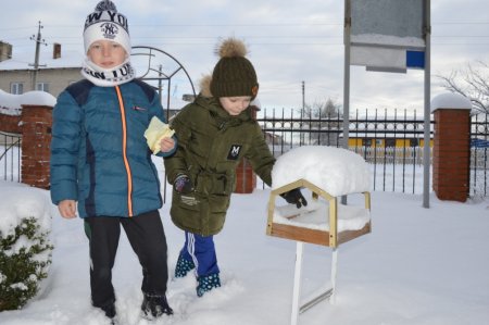 Зимові розваги