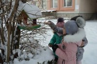 Шкільні будні та відпочинок НУШ