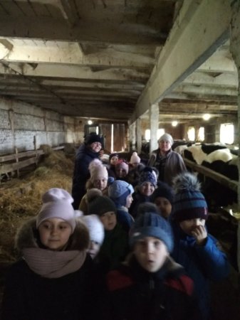 Компетентнісне навчання за концепцією НУШ