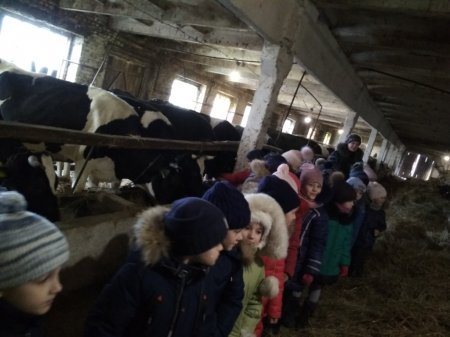 Компетентнісне навчання за концепцією НУШ