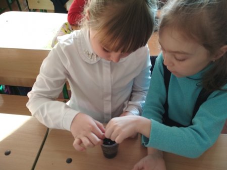 Любимо досліджувати