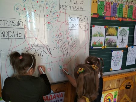 Любимо досліджувати