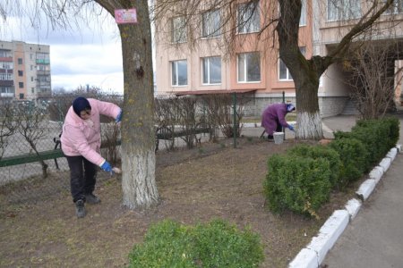 Декада благоустрою