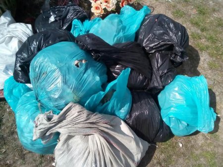 День довкілля