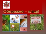 Як вберегтися від кліщів і не підчепити інфекцію: важливі поради. Як вберегтися від кліщів і не підчепити інфекцію: важливі поради.