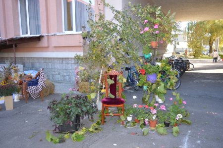 Фестиваль "Дари осені"