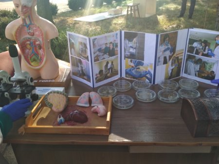 Науковий пікнік
