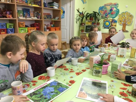 Природа- справжня скарбниця здоров'я !!!