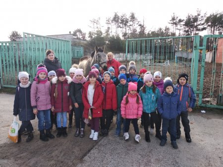 #HealthySchools Екскурсія на кінну спортивну базу