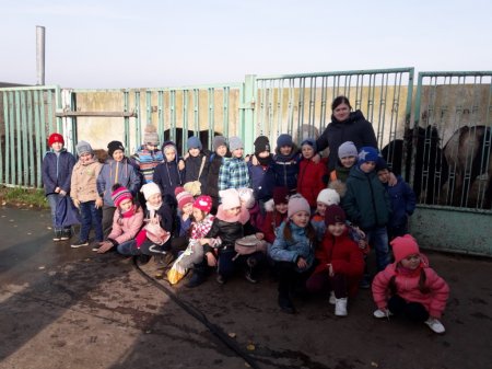 #HealthySchools Екскурсія на кінну спортивну базу