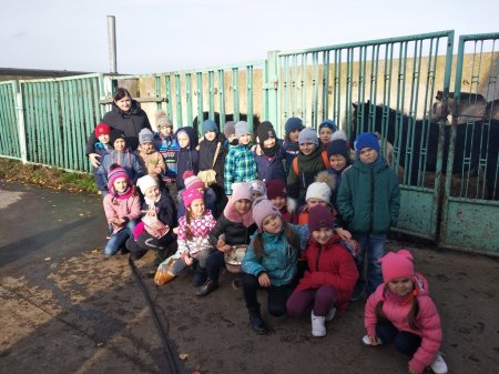 #HelsthySchools Екскурсія до кінної спортивної бази