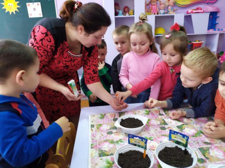 Город на підвіконні у різновіковій групі «Квіточки»