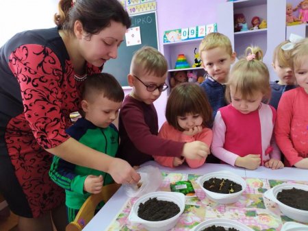 Город на підвіконні у різновіковій групі «Квіточки»