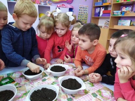 Город на підвіконні у різновіковій групі «Квіточки»