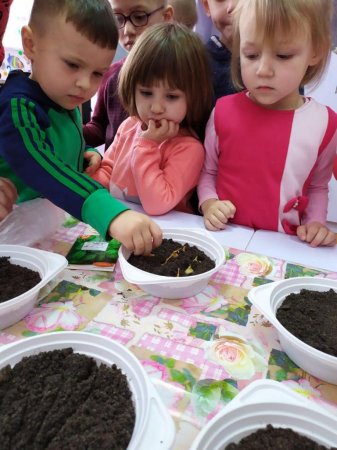 Город на підвіконні у різновіковій групі «Квіточки»