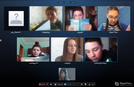 Skype: дистанційне навчання в дії.
