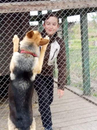 Новини чергового 8-Б класу