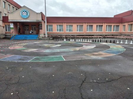 ЗНО-2020: найчисельніше тестування з української мови і літератури