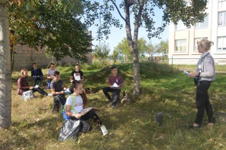 Open-air уроки  