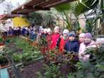 Вивчаємо природу Вивчаємо природу
