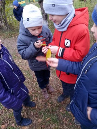 Вивчаємо природу