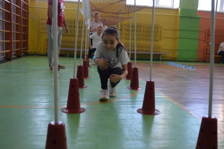 Сокіл "Джура"