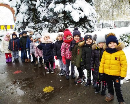 Прогулянка «Перший сніг…»