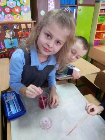 STEM-зима "Дослідження впливу соляного розчину на лід"