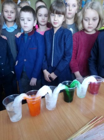 STEM-зима "Дослідження впливу соляного розчину на лід"