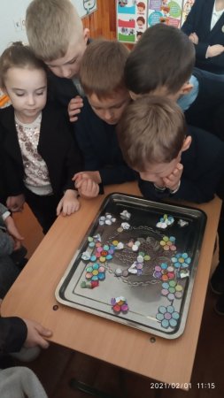 STEM-зима