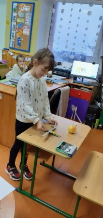 STEM-зима