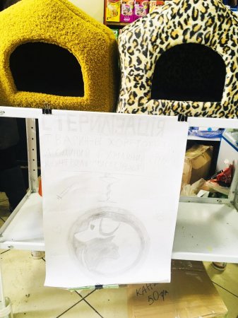 Благодійники в дії