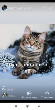 Всеукраїнський конкурс «Благодійники в дії»