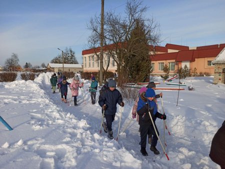 Скандинавська ходьба