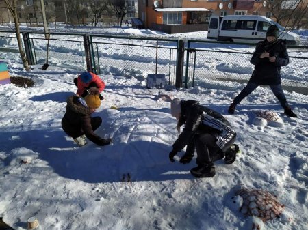 Шкільні будні та фестиваль снігу