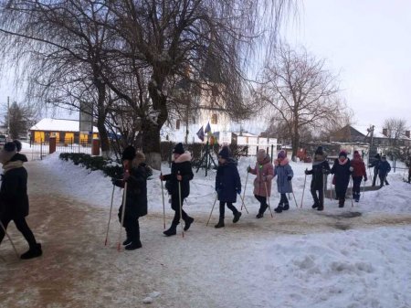 Скандинавська ходьба