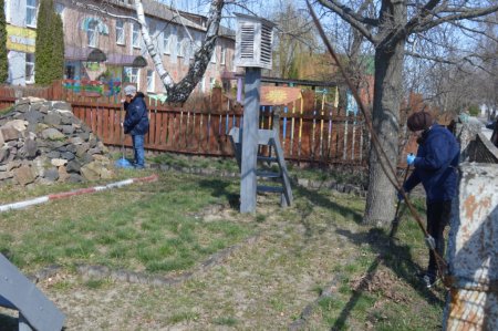 Колегіумівська толока