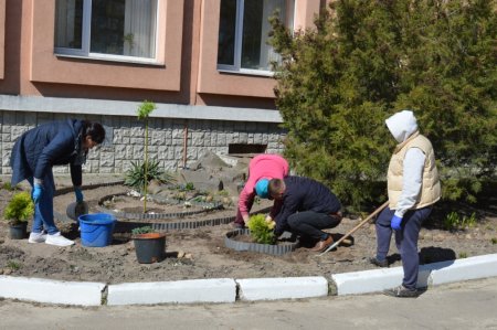 Колегіумівська толока