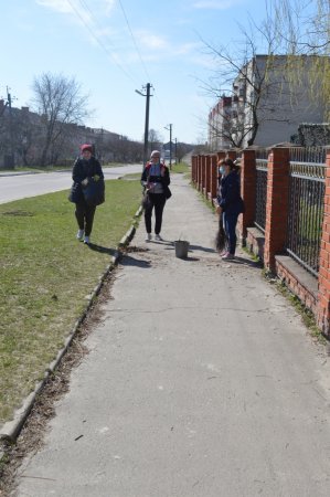 Колегіумівська толока