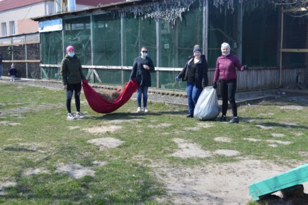Колегіумівська толока