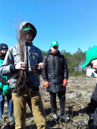 Акція «1 мільйон дерев за 1 добу у 100 країнах світу»